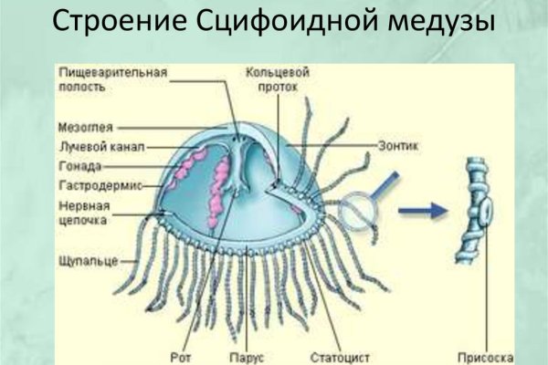 Цена омг